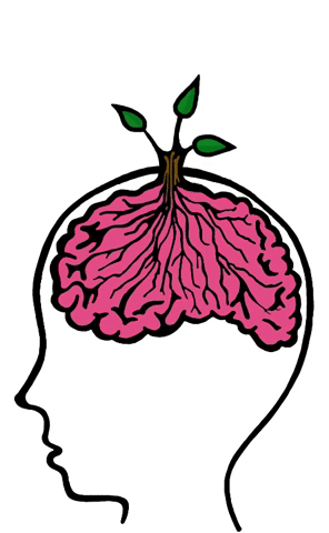 Plant growing out of a brain!